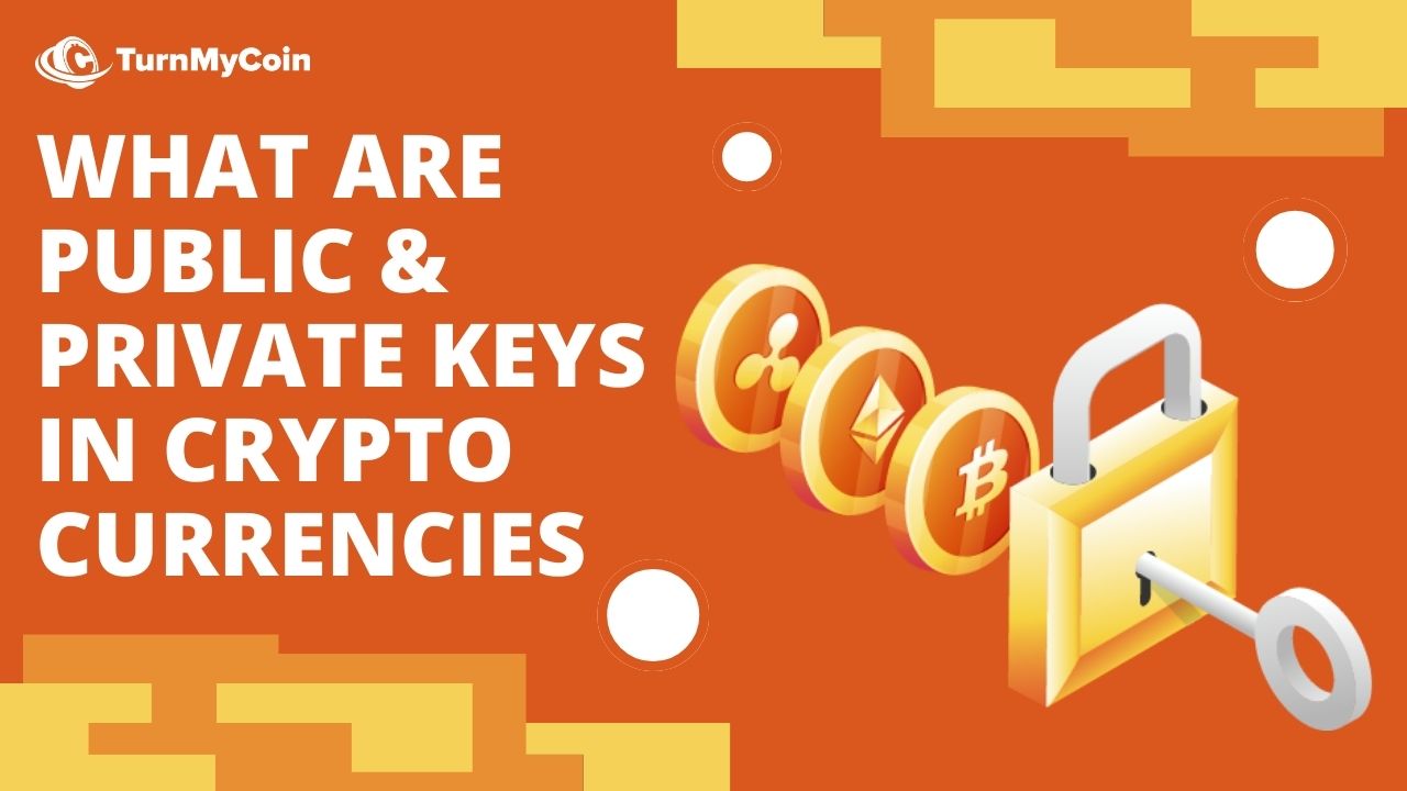 What Are Public Keys & Private Keys In Cryptocurrencies