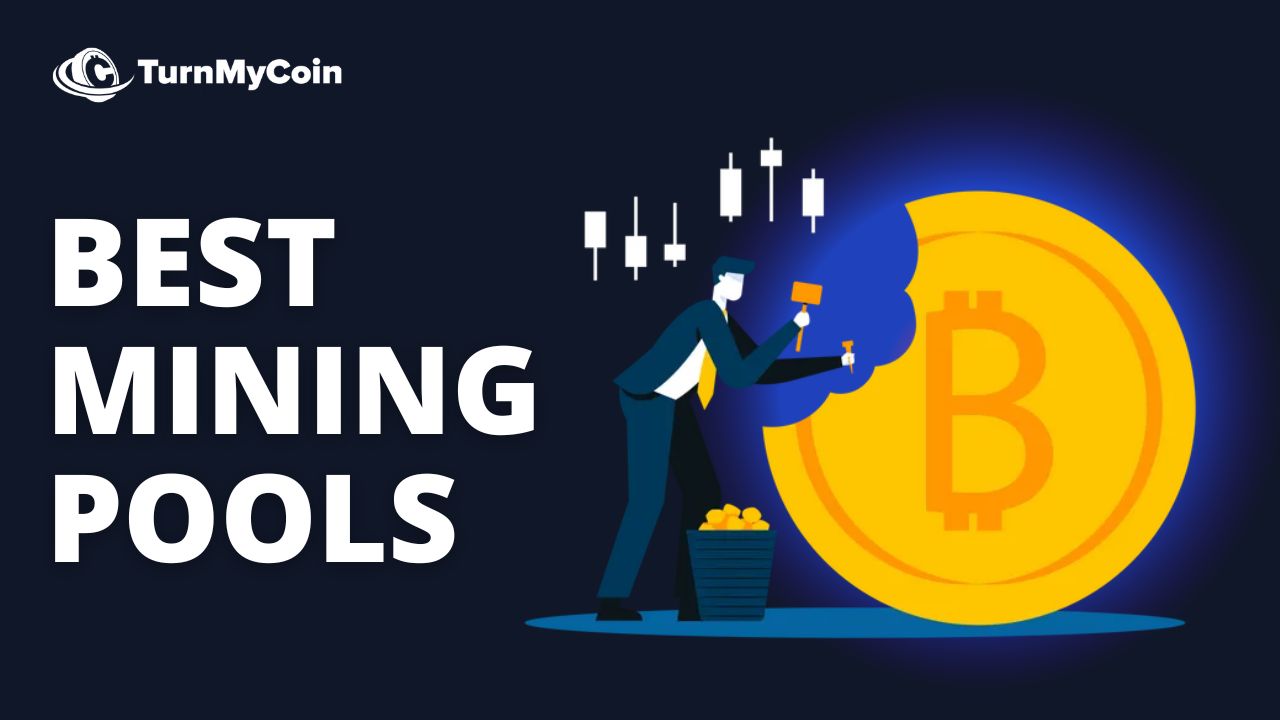 The 6 Best Mining Pools To Multiply Your Money - TurnMyCoin: Crypto assets trading Worldwide - A beginner's guide