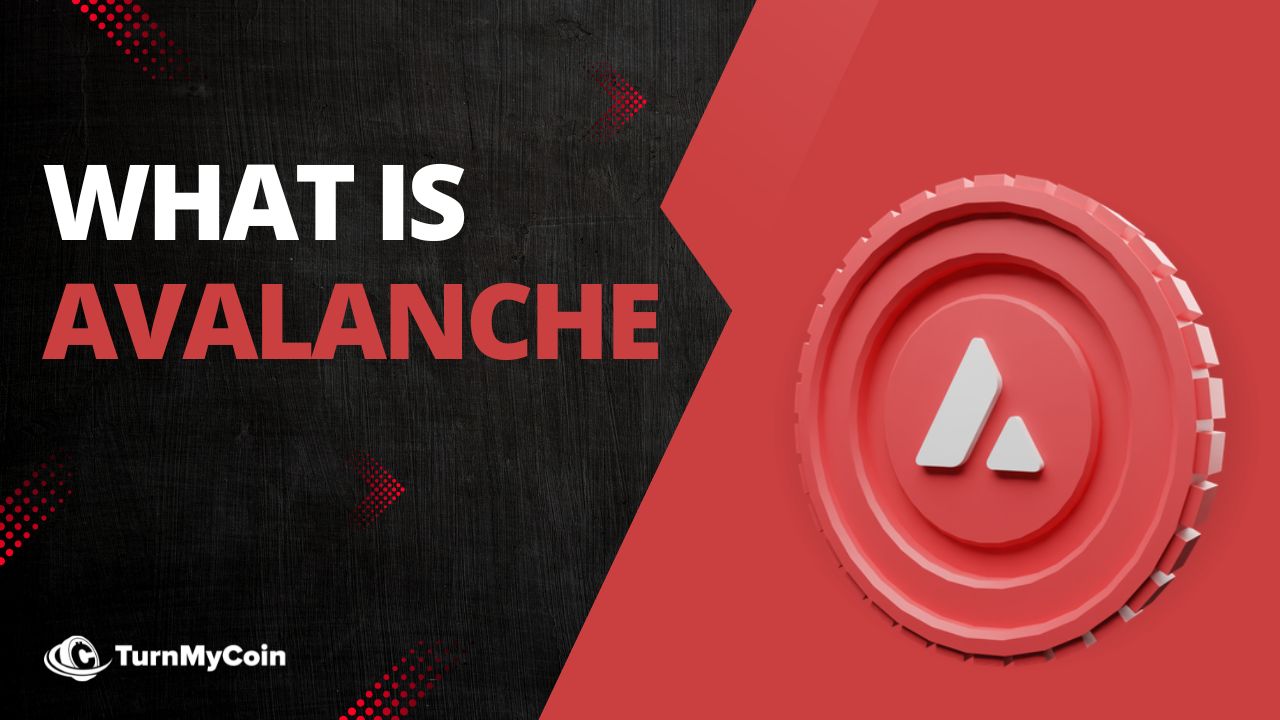 What Is Avalanche Blockchain? 8 Astonishing Things You Should Know