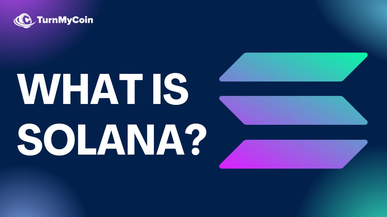 What is Solana Blockchain? A Detailed Guide - TurnMyCoin: Crypto assets trading Worldwide - A beginner's guide