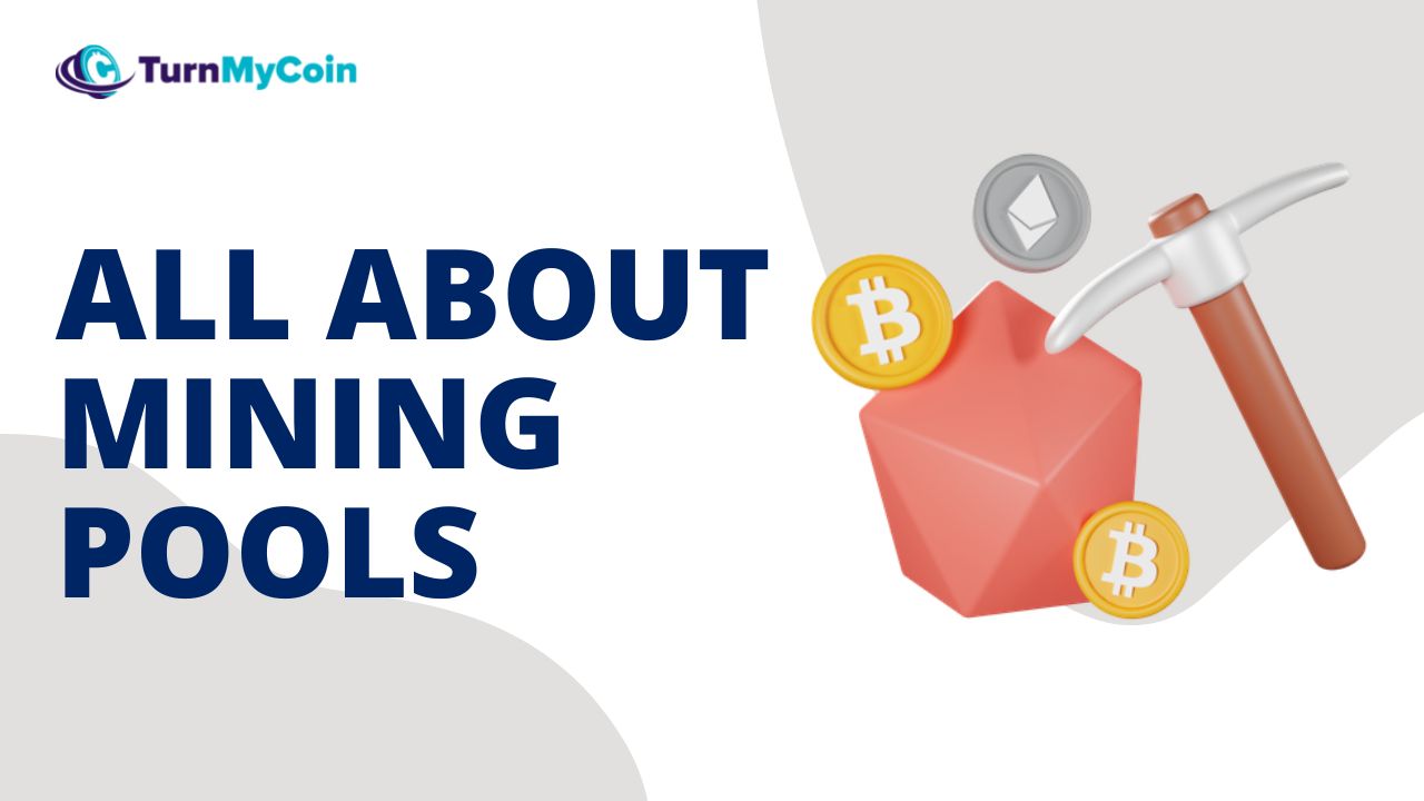 What Is A Mining Pool? An Ultimate 101 About Mining Pools - TurnMyCoin: Crypto assets trading Worldwide - A beginner's guide