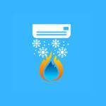 Ace Condition Profile Picture