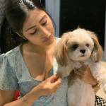 anika aarya Profile Picture