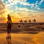 Rajasthan Holiday Packages Profile Picture