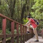 Egypt visa for Brazilian citizens Profile Picture