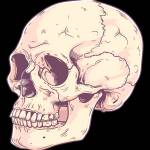 Max45 Max Profile Picture