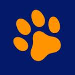 Jason Ray Profile Picture