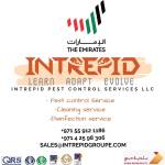 Intrepid Group Profile Picture