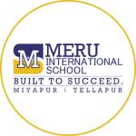 Meru International profile picture