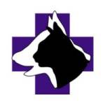 Companion Animal Hospital Profile Picture