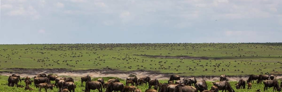 Asante Travel Group Cover Image