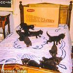 Cali Bernhard Profile Picture