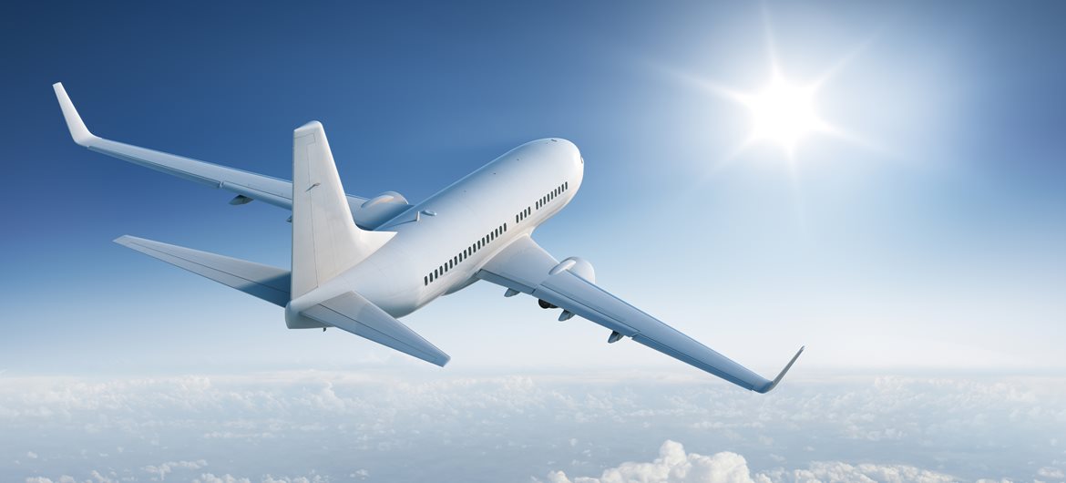 pocket fare Profile Picture