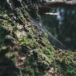 Kaia Baumbach Profile Picture