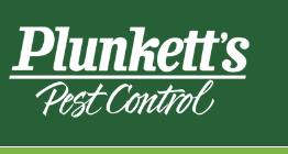 Mst Asma Khatun Profile Picture