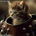 Nathaniel Sauer Profile Picture