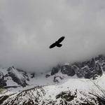 Janessa Green Profile Picture