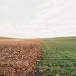 Tianna Fisher Profile Picture