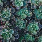 Gordon Gibson Profile Picture