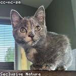 Brock Powlowski Profile Picture