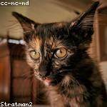 Wendy Schultz Profile Picture