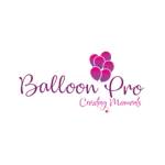 Balloon Decorators in Bangalore Balloonpro Profile Picture