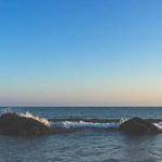 Claude Collins Profile Picture