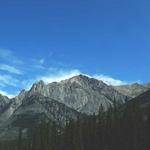 Cristian Collins Profile Picture