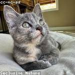 Greyson Bradtke Profile Picture