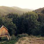 Ignatius Skiles Profile Picture