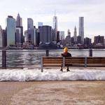 Lora Boyer Profile Picture