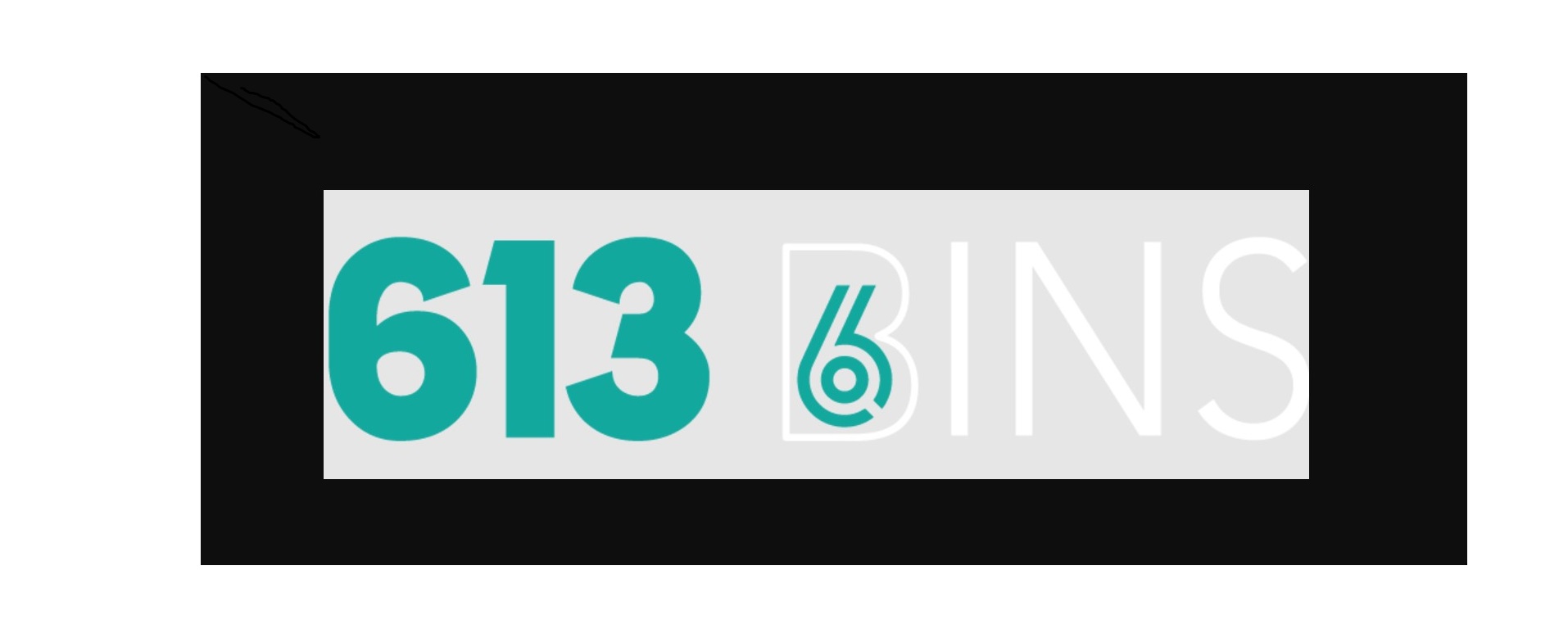 613 Bins Profile Picture