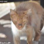 Eulah DuBuque Profile Picture