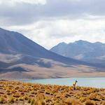 Keon Wiegand Profile Picture