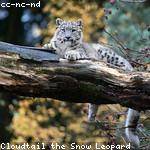 Magnolia Bergstrom Profile Picture