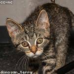 Amie Veum Profile Picture