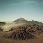 Assunta Littel Profile Picture