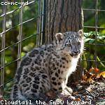 Icie McLaughlin Profile Picture