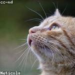 Serenity Sipes Profile Picture