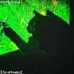 Mariane Donnelly Profile Picture