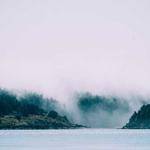 Narciso Goodwin Profile Picture