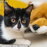 Tamara Walker Profile Picture