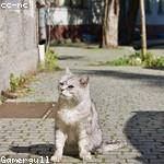 Johnathan Kozey Profile Picture