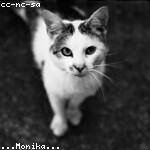 Caesar Cummings Profile Picture