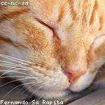 Claire Gleichner Profile Picture