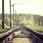 Titus Paucek Profile Picture