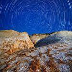 Sofia Stehr Profile Picture