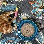 Otho Kuvalis Profile Picture