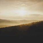 Avery Heidenreich Profile Picture