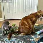 Cortez Johns Profile Picture